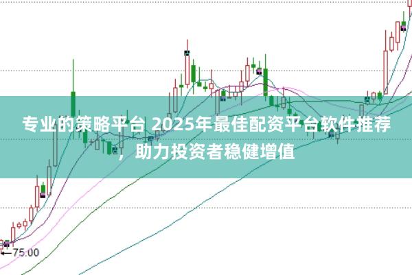 专业的策略平台 2025年最佳配资平台软件推荐，助力投资者稳健增值