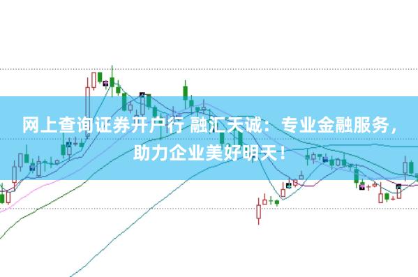 网上查询证券开户行 融汇天诚：专业金融服务，助力企业美好明天！