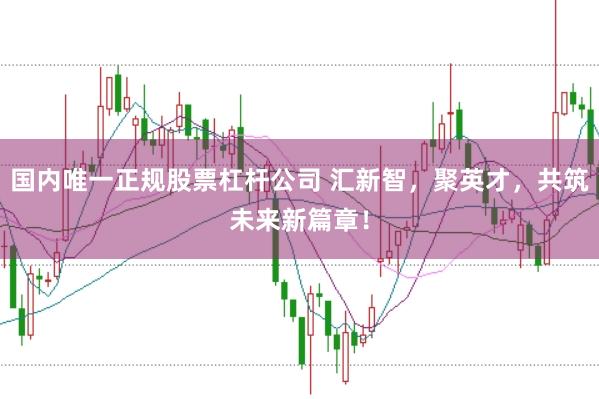 国内唯一正规股票杠杆公司 汇新智，聚英才，共筑未来新篇章！