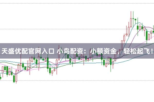 天盛优配官网入口 小鸟配资：小额资金，轻松起飞！