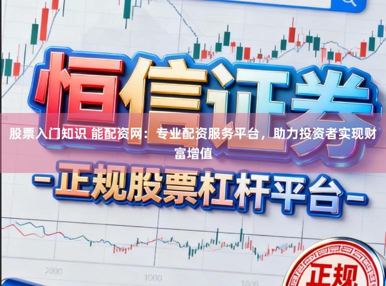 股票入门知识 能配资网：专业配资服务平台，助力投资者实现财富增值